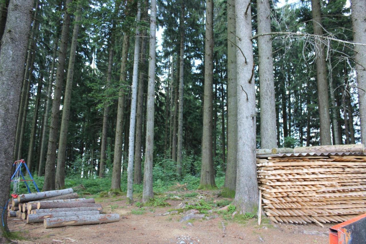 Chalet Nueschwendi Ebnat-Kappel Eksteriør billede